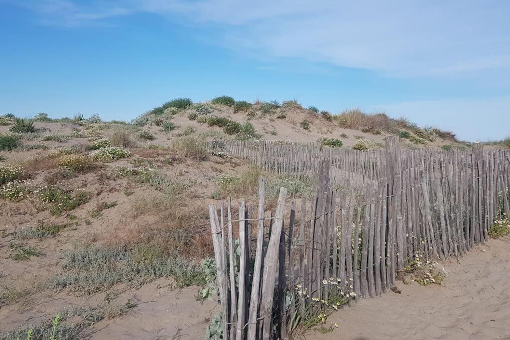 Marseillan-Plage Appartement Coeur De Sable エクステリア 写真